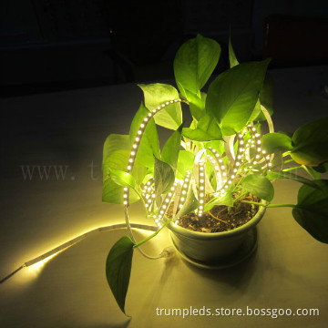 CE DC12V 3528 120led non-waterproof flexible led grow light